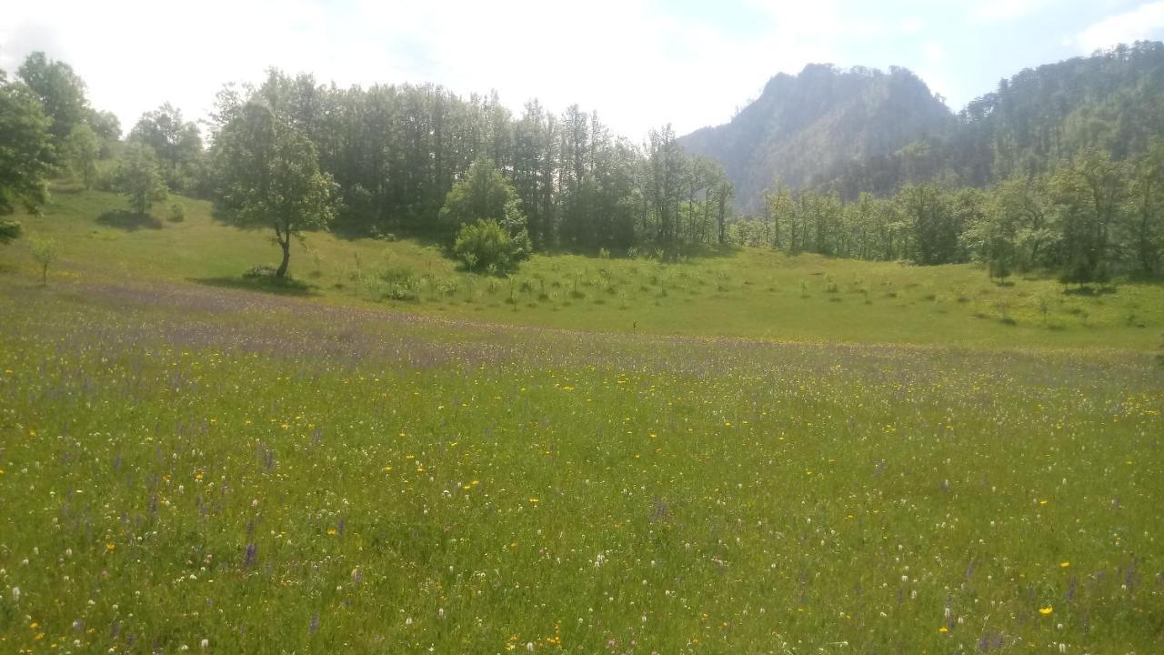 Villa Kamp Rafting Kljajevica Luka à Pljevlja Extérieur photo